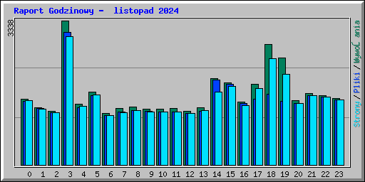 Raport Godzinowy -  listopad 2024