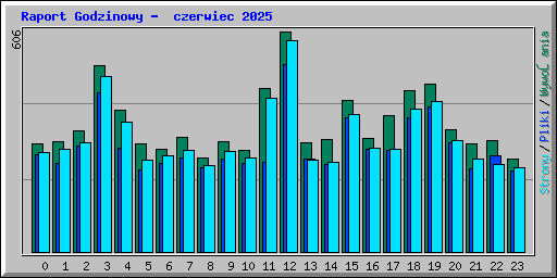 Raport Godzinowy -  czerwiec 2025