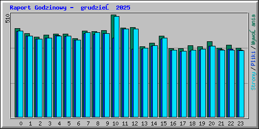 Raport Godzinowy -  grudzień 2025
