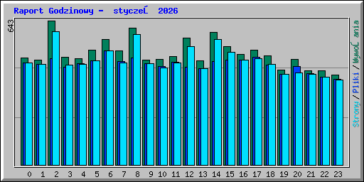 Raport Godzinowy -  styczeń 2026