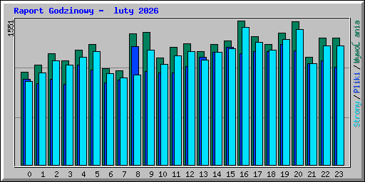 Raport Godzinowy -  luty 2026