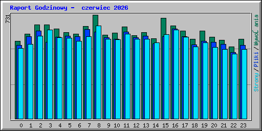 Raport Godzinowy -  czerwiec 2026
